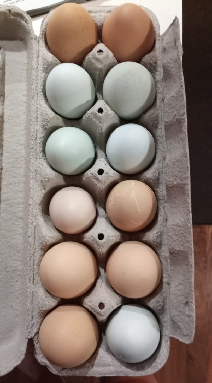 Eggs..jpg